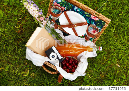 juice, cherry, book and camera in picnic basket juice, cherry, book and camera in picnic basket 87731953