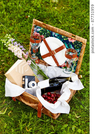 juice, cherry, book and camera in picnic basket 87731959