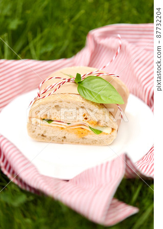 close up of sandwich on picnic at garden close up of sandwich on picnic at garden 87732204