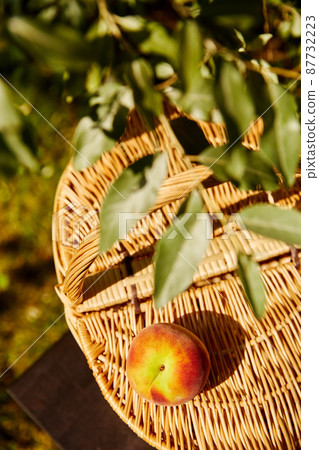 close up of picnic basket on stool in garden close up of picnic basket on stool in garden 87732223