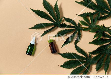 hemp essential oil and cannabis leaves 87732403