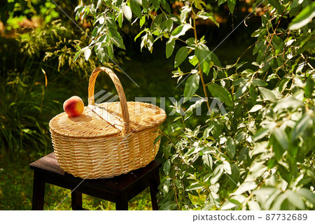 close up of picnic basket on stool in garden 87732689