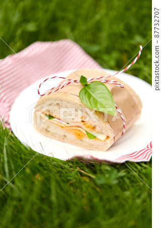 close up of sandwich on picnic at garden close up of sandwich on picnic at garden 87732707