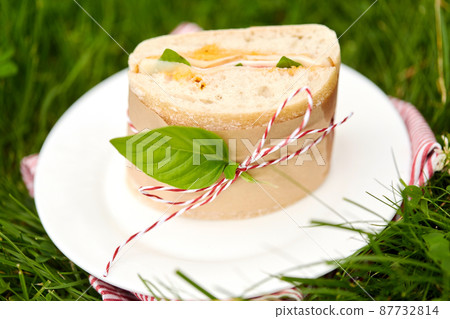close up of craft sandwich on picnic at garden 87732814