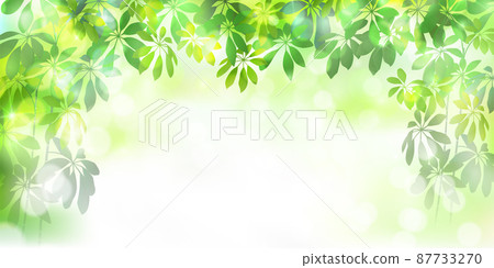 Fresh green foliage plant leaf background 87733270