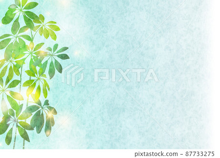Fresh green foliage plant leaf background Fresh green foliage plant leaf background 87733275
