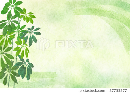 Fresh green foliage plant leaf background Fresh green foliage plant leaf background 87733277