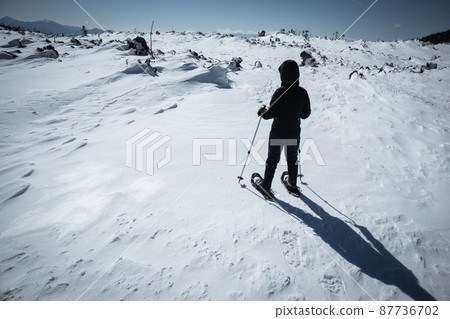 穿著雪鞋在北代岳岳庭園徒步旅行的人們 87736702