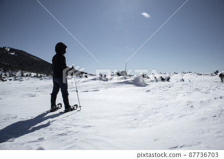 穿著雪鞋在北代岳岳庭園徒步旅行的人們 87736703