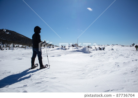 穿著雪鞋在北代岳岳庭園徒步旅行的人們 87736704
