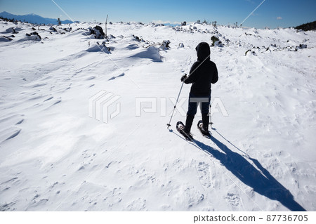 穿著雪鞋在北代岳岳庭園徒步旅行的人們 87736705