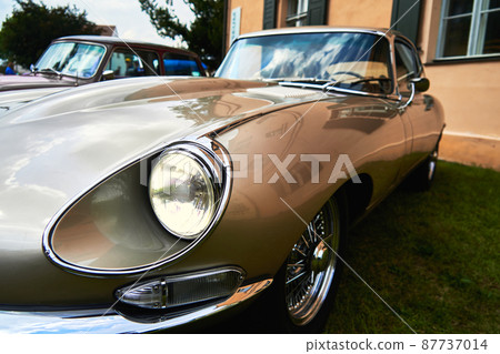 Side view of classic 1960s English sports car on a lawn 87737014