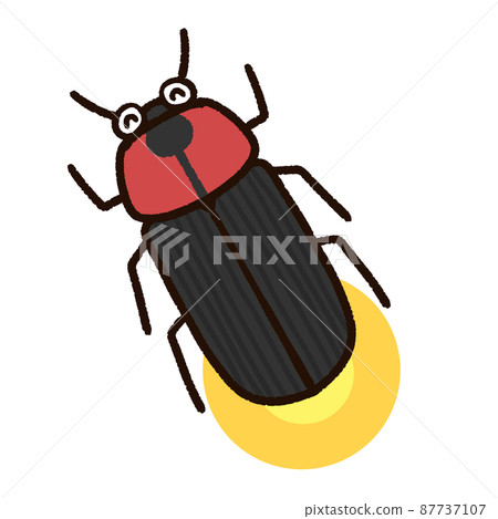 Shining cute fireflies Shining cute fireflies 87737107