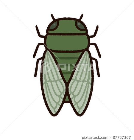 可愛的 Hyalessa maculaticus 可愛的 Hyalessa maculaticus 87737367