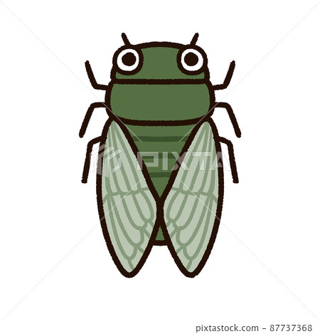 Cute Hyalessa maculaticus 87737368