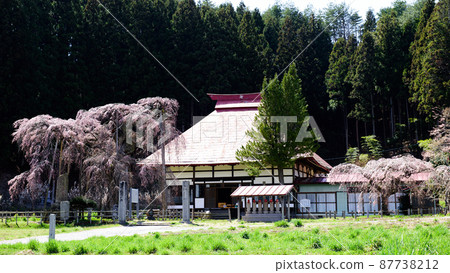 Sakura of Eikenji Fukushima Prefecture Sakura of Eikenji Fukushima Prefecture 87738212