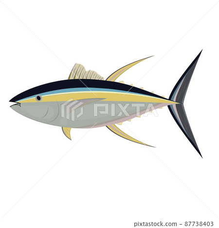 Tuna fish isolated on a white background, color vector illustration 87738403