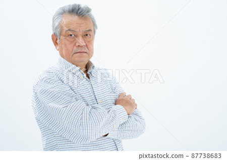 老人的肖像 87738683