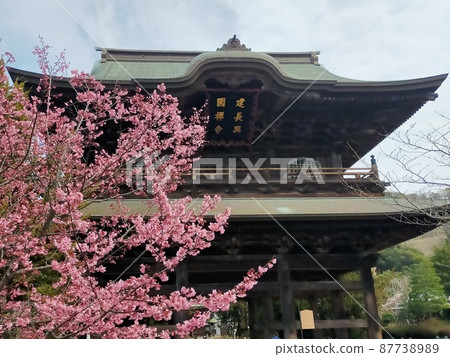 Kaenji寺門 Kaenji寺門 87738989