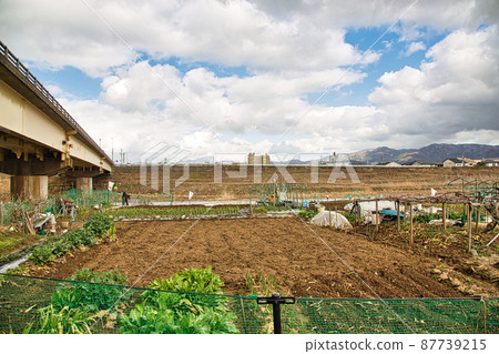 Riverbed vegetable garden 87739215