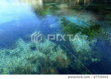 Scenery of Maruike spring water at the foot of Mt. Kirishima Scenery of Maruike spring water at the foot of Mt. Kirishima 87739443