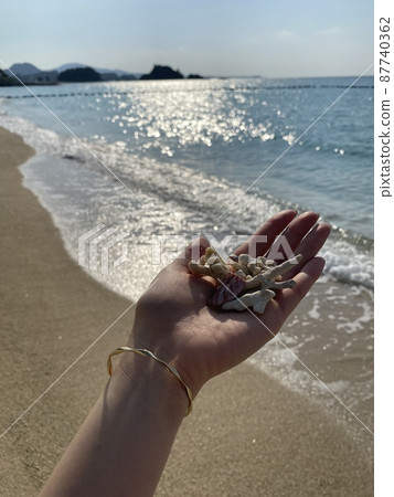 沖繩！貝殼 87740362