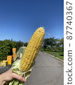 Corn summer vacation 87740367