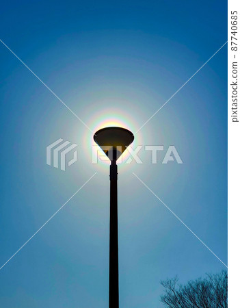 路燈和花粉電暈 路燈和花粉電暈 87740685