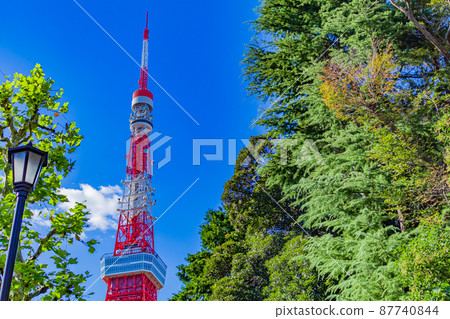 [Cityscape of Tokyo] Tokyo Tower seen from Shiba Park 87740844