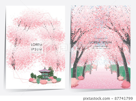 Vector editorial design frame set of Korean spring scenery with cherry trees in full bloom. Design for social media, party invitation, Frame Clip Art and Business Advertisement 87741799
