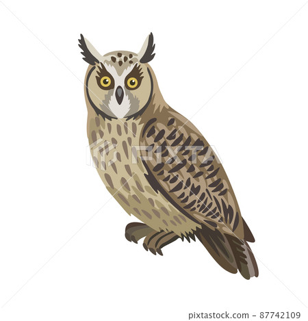 Vector cartoon long eared owl isolated on white background. Vector cartoon long eared owl isolated on white background. 87742109