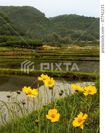 Satoyama scenery and countryside in the neighborhood Satoyama scenery and countryside in the neighborhood 87742231