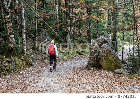 Man with prosthesis of a leg walking in Ordesa and Monte Perdido NP, Pyrenees, Aragon in Spain Man with prosthesis of a leg walking in Ordesa and Monte Perdido NP, Pyrenees, Aragon in Spain 87742833