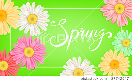 Spring banner. Hand drawn lettering. Background with chamomile, daisy. Spring Time template, flyer, posters, brochure. Happy spring Day. Fashionable styling. Flower vector isolated 87742947