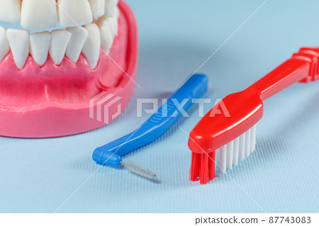 Toothbrushes and layout of the human jaw on the background. 87743083