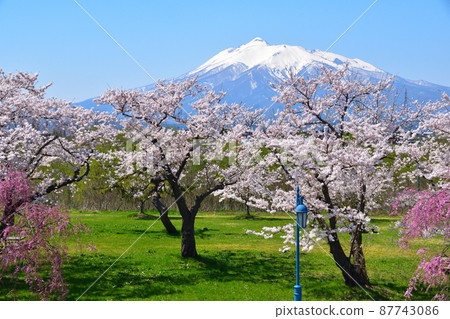 櫻井岩木川公園 87743086