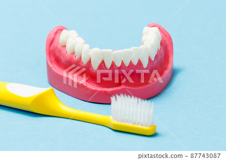 Layout of human lower jaw and toothbrush on the blue background. Layout of human lower jaw and toothbrush on the blue background. 87743087
