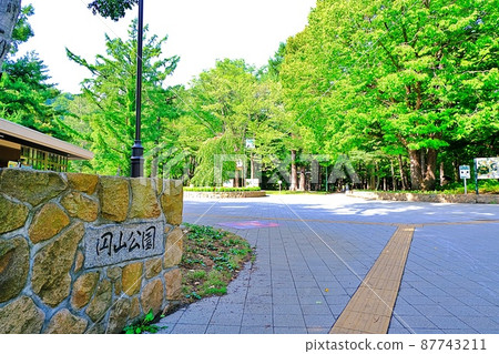 圓山公園（北海道札幌市中央區） 87743211