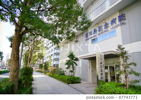 東京都中央區築田市石川島紀念醫院 東京都中央區築田市石川島紀念醫院 87743771