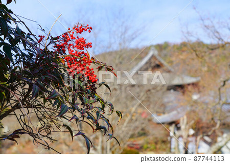 [瀨戶內33觀音聖地]岡山縣岡山市東區第10番明大寺院內和南天之果4 87744113