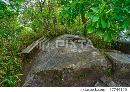 茨城縣百座名山筑波山能量點鄉石 茨城縣百座名山筑波山能量點鄉石 87744139
