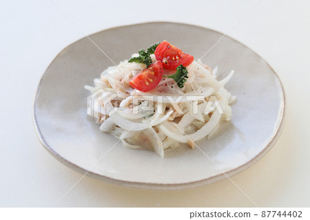 新的洋蔥沙拉 87744402
