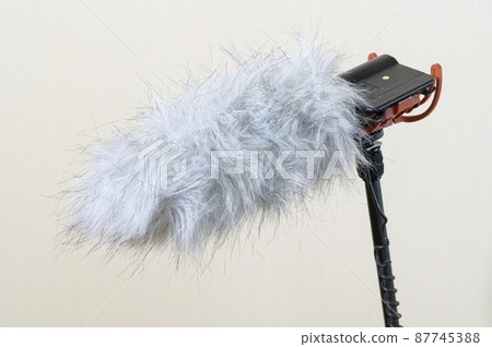Gun microphone 87745388