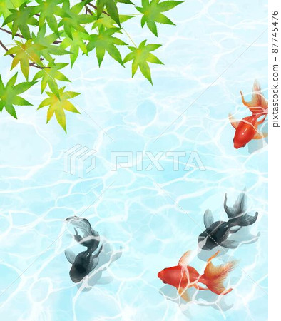 矢量夏季框架材料具有美麗的水波紋設計，黑色和紅色的金魚在秋葉下的水中優雅地游泳 87745476
