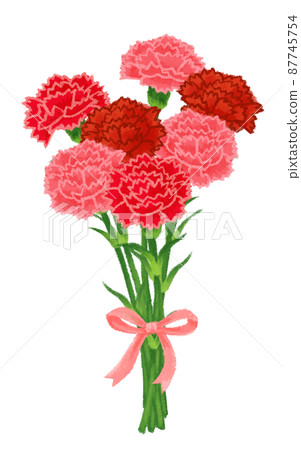 Mother's Day Carnation Bouquet Mother's Day Carnation Bouquet 87745754