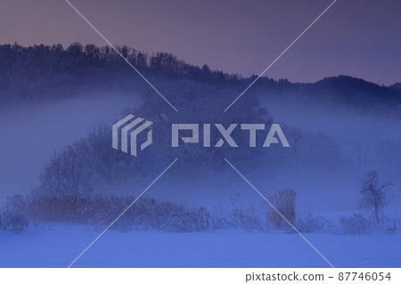 岩手縣北上市 北上川的冬景 87746054