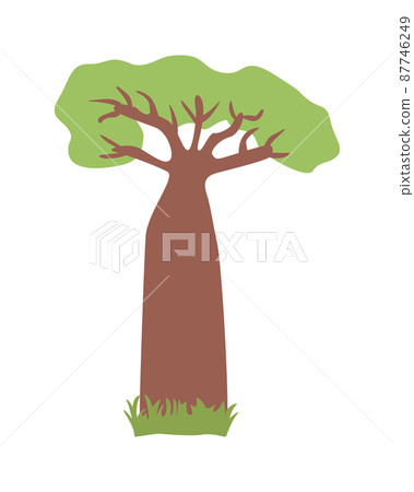 African baobab tree, vector illustration isolated on white. 87746249