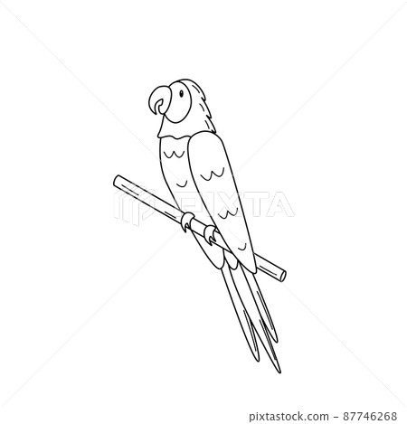 Cute cartoon macaw parrot is sitting on a branch. Coloring book, vector illustration of a tropical bird Cute cartoon macaw parrot is sitting on a branch. Coloring book, vector illustration of a tropical bird 87746268