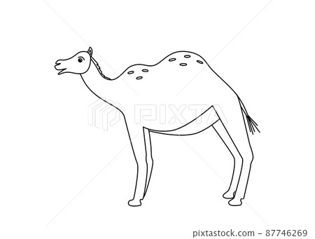 Cute funny camel, vector illustration of cartoon desert animal. Coloring book on isolated white background Cute funny camel, vector illustration of cartoon desert animal. Coloring book on isolated white background 87746269