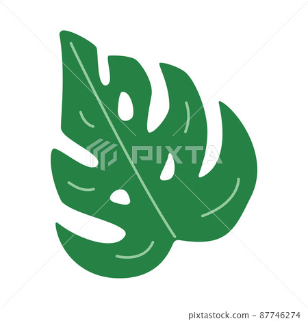 Monstera leaf, tropical jungle plant. Vector illustration in a flat style Monstera leaf, tropical jungle plant. Vector illustration in a flat style 87746274